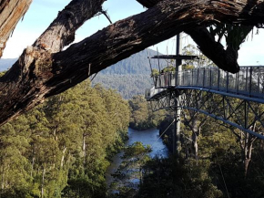 Tahune AirWalk Lodge